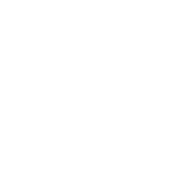 bgc-banking-finance